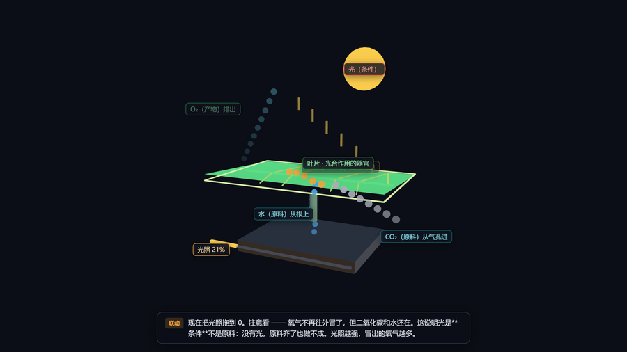 叶绿体工厂