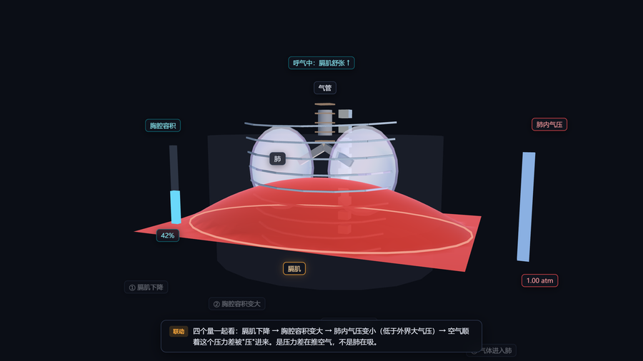 呼吸的风箱